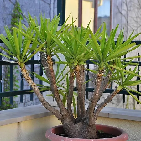 Maison d'hôtes Superior With View 3*