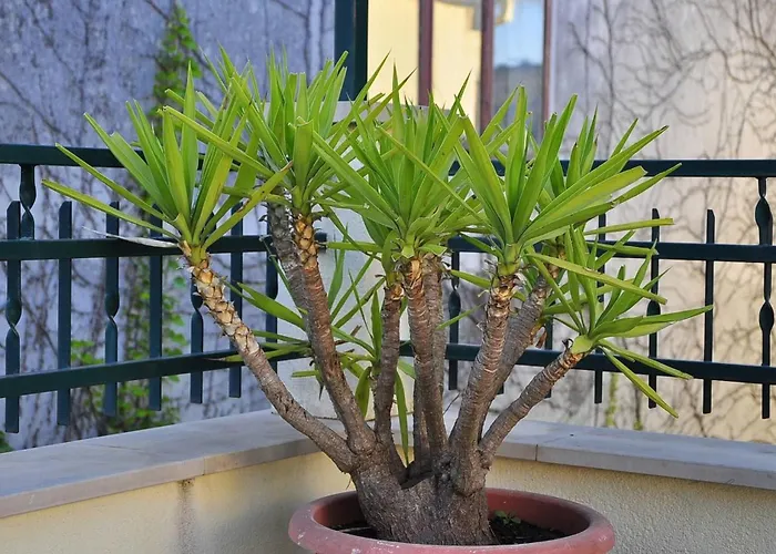 Penzion Superior With View 3*