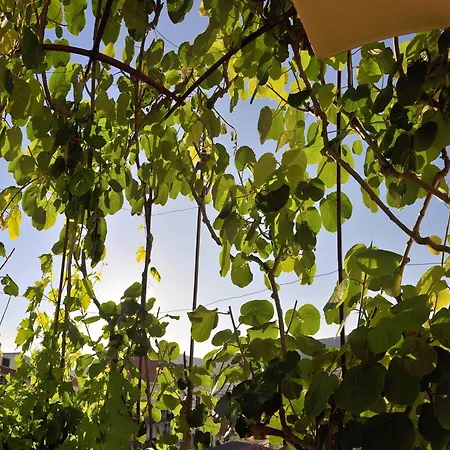 Superior With View 3* Trogir