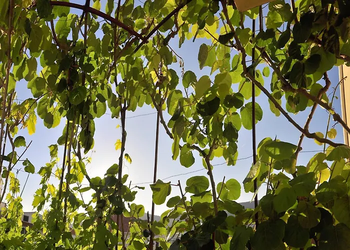 Superior With View 3* Trogir